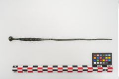 Foto von Bronzekugelkopfnadel (NHMW-PRAE-024504)
